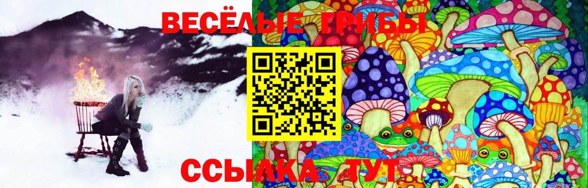 Псилоцибиновые грибы ЛСД Мирный