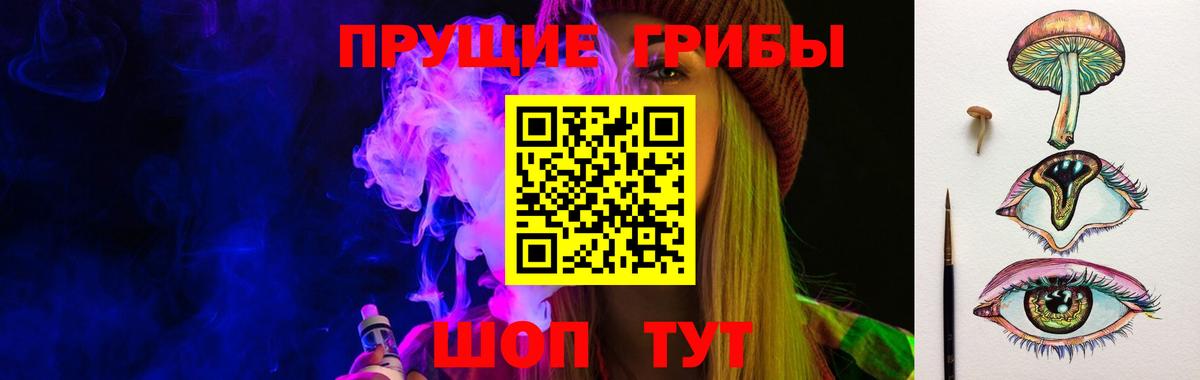 Мирный  Галлюциногенные грибы MAGIC MUSHROOMS  Вход с VPN 